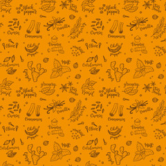 Seamless vector pattern background with hand drawn spices and herbs doodles.