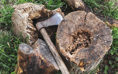 Old iron ax between wooden stumps outside.