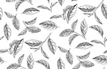 Seamless Pattern With Hand Drawn Tea Leaves And Branches