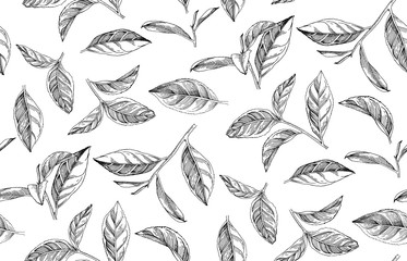 Seamless pattern with hand drawn tea leaves and branches