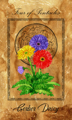 Wall Mural - Four of pentacles. Minor Arcana tarot card with Gerber Daisy and magic seal.