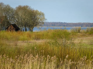 bright landscape with lake shore, flooded lake meadows, first spring greenery, wallpaper