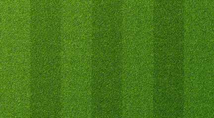 Green grass texture for sport background. Detailed pattern of green soccer field or football field grass lawn texture. Green lawn texture background.