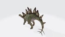 3d Illustration Of Stegosaurus. Dinosaur Stegosaurus And Monster Model Isolated White Background ,with Clipping Path