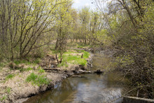 Small Creek Running Through Elm Creek Park Reserve In Maple Grove Minnesota During Springtime
