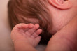 © Inception - Newborn baby boy lying on bed, sleeping, close up. Healthy newborn baby sleeping, showing close up of ear and side of babies head.