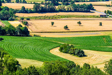 Wall Mural - field at the european alps