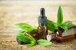 Mint essential oil in the bottle