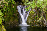 Fototapeta Łazienka - Wasserfall in Herzform
