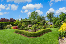 Amazing Manicured Backyard With Large Lawn, Bushes, Hedges, And Plants On Sunny Day With Blue Sky