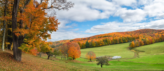 Wall Mural - Brilliant fall colors in Vermont Countryside road and farm in Autumn near Woodstock