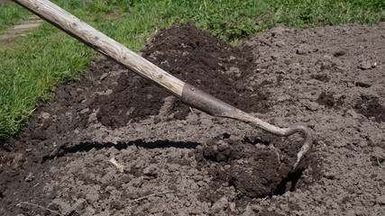 Wall Mural - planting a garden. making beds with a hoe. chernozem