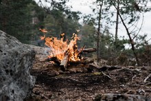Wild Campfire In A National Park In Sweden