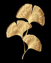 Golden Ginkgo Biloba Branch With Leaves
