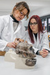 © Javier De La Torre/ADDICTIVE STOCK - Scientists examining skull in lab