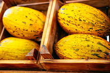 Exotic Summer Diet. Tropical Organic Fruit In Crate. Melon Delivery . Autumn Harvest. Stock Photo.