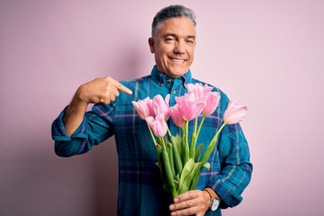 Poster - Middle age grey-haired man holding natural bouquet of pink tulips over isolated background with surprise face pointing finger to himself