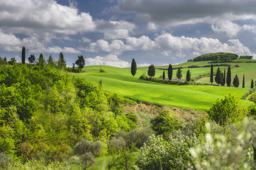 Wall Mural - Green landscape on a sunny spring day