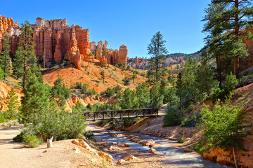 River and bridge among the hoodoos at Mossy Cave Trail, Bryce Canyon National Park, Utah, USA