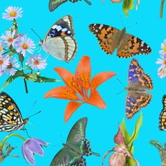 Poster - Butterflies and wild flowers. Seamless pattern.