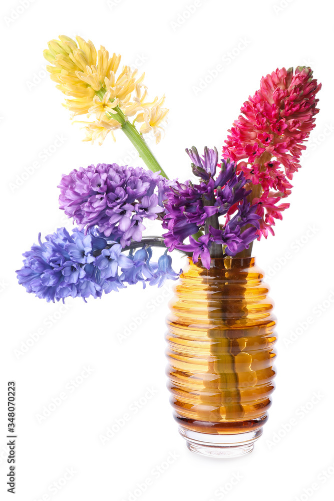 Vase with beautiful hyacinth flowers on white background