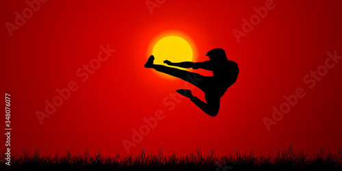 Obrazy Kung fu  kung-fu-karate-tlo