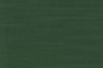 Wall Mural - green paper texture background