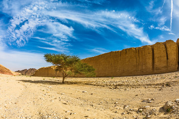 Poster - The stone desert in Eilat mountains