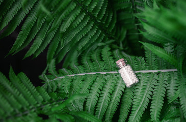 Bottles of homeopathic globules on green fern background. Homeopathy medicine.