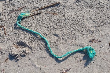 Ecology: beach discoveries - green rope