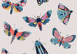 Vector seamless pattern with colorful insects butterfly, moth and hand drawn abstract texture.