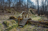 Fototapeta Na ścianę - View of a small wooden stairs over tree trunk. Jurkiskis River Cognitive Trail. Lithuania, Baltic.