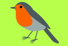 Robin Vector Illustration Of A Bird 