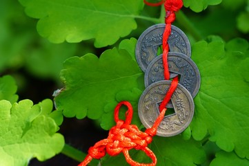 Poster - Chinese coin on a green leaf.