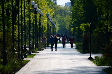 Canvas Print - walk in the park