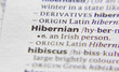 Hibernian word or phrase in a dictionary.