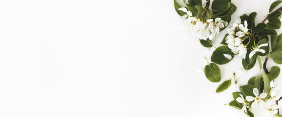 Wall Mural - spring composition. blooming spring pear branches on a white background, floral frame, top view, fla