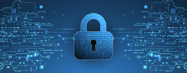 Cyber security or network protection.  System privacy.