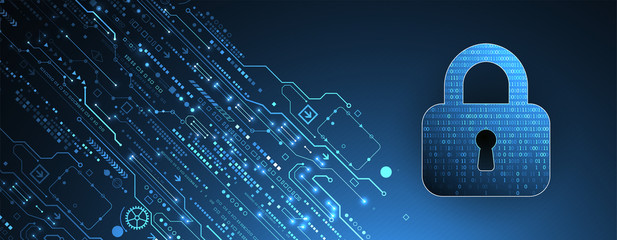 Cyber security or network protection.  System privacy.