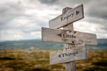 enjoy the little things text engraved on old wooden signpost outdoors in nature. Quotes, words and illustration concept.