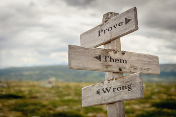 prove them wrong text engraved on old wooden signpost outdoors in nature. Quotes, words and illustration concept.