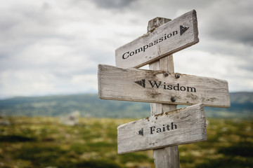 compassion wisdom faith text engraved on old wooden signpost outdoors in nature. Quotes, words and illustration concept.