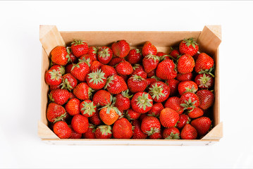 Wall Mural - Fresh strawberries in a wooden box on white background