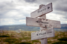 Sorry Please Thank You Text Engraved On Old Wooden Signpost Outdoors In Nature. Quotes, Words And Illustration Concept.