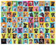 © annette shaff - cute dogs in a studio shot collage on an isolated background