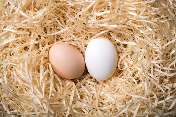 Sticker - Organic chicken eggs in nest closeup. Food photography