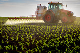 Fototapeta  - Tractor spraying young corn with pesticides
