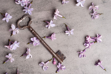  Key and lilac flowers on a gray background.Top view