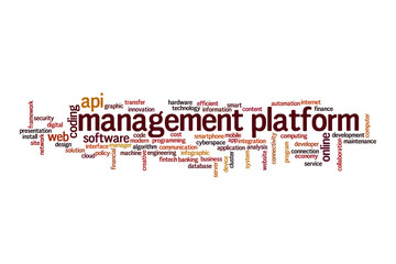 Wall Mural - management platform word cloud concept