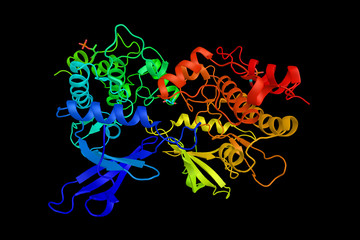 Wall Mural - Death-associated protein kinase 3, an enzyme which induces morphological changes in apoptosis when overexpressed in mammalian cells. 3d rendering